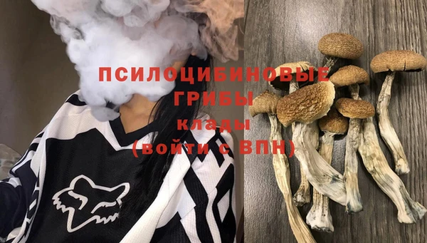 MDMA Premium VHQ Алзамай