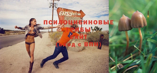 не бодяженный Абинск