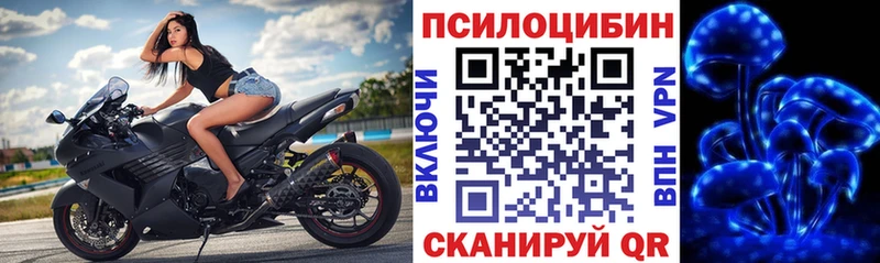 mega tor  Чкаловск  Галлюциногенные грибы ЛСД 